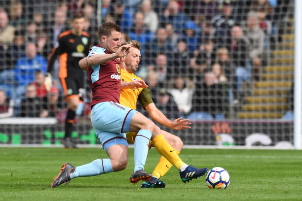 极推动作用 极推动作用