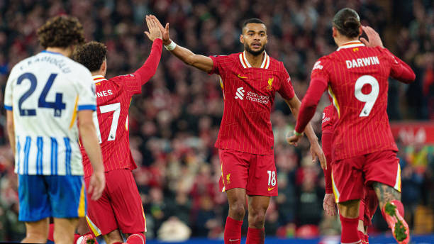 新消息揭示 新消息揭示